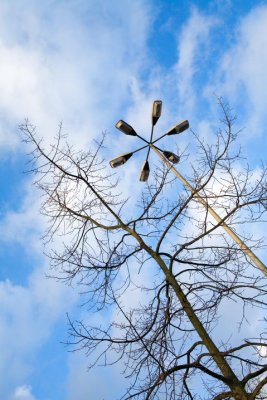 Trees ...