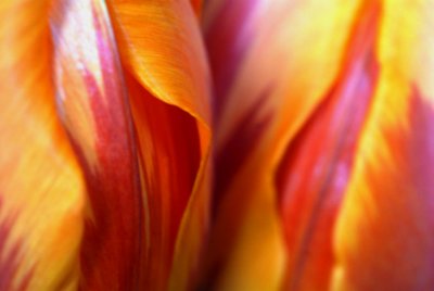 DSC_5147a.JPG