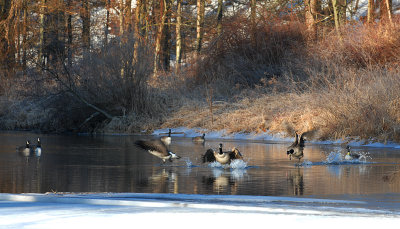 DSC_2742.jpg