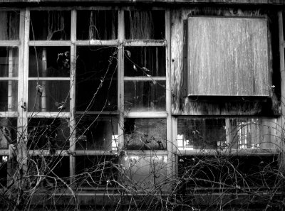 IMG_0478bw.jpg