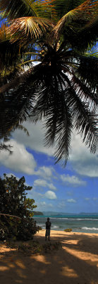panorama 24a.jpg