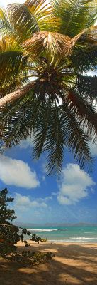 panorama 25.jpg