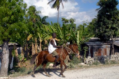 DSC_1008.JPG