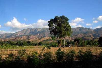 DSC_1044.JPG