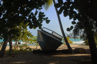 DSC_1517.jpg