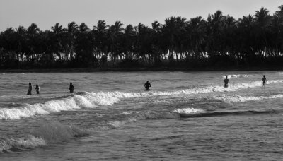DSC_1672.JPG
