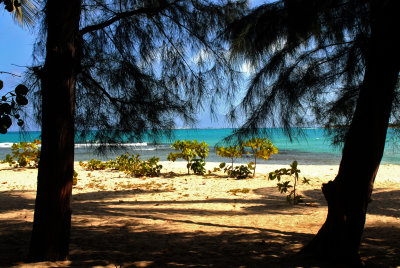 DSC_2626.JPG