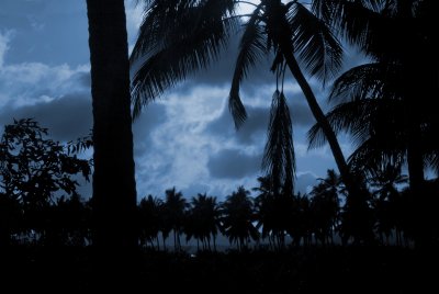 DSC_2851.JPG