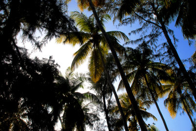 DSC_1540.JPG