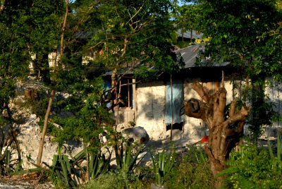 DSC_1806.JPG