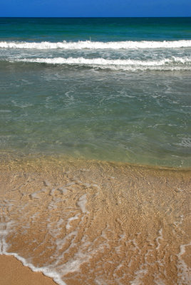 DSC_2593.JPG