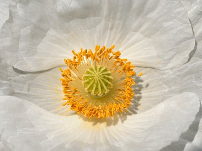 DSC_3928b.jpg