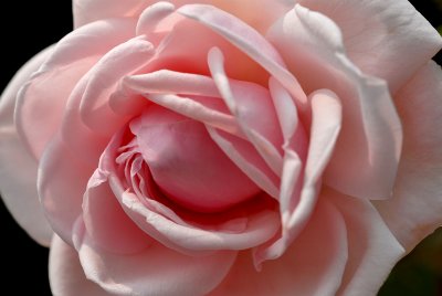 DSC_4136a.jpg