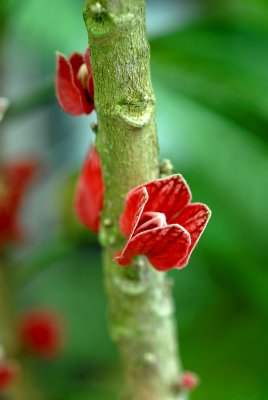 DSC_3987a.jpg