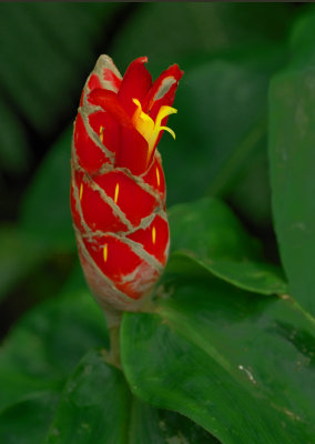 DSC_4004a.jpg