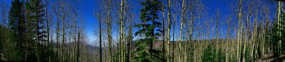 panorama 12a.jpg