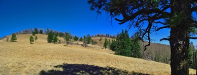 Panorama 28a.jpg