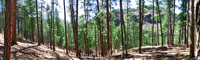 Panorama 34a.jpg