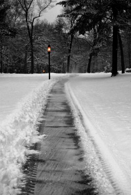 DSC_2041a.jpg