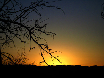 IMG_0503a.jpg