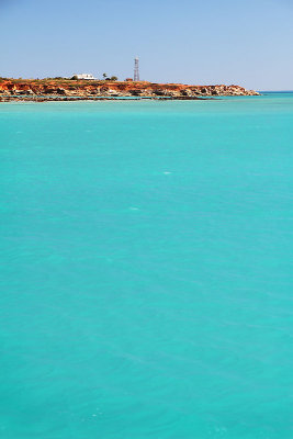 Whale Watching in Broome