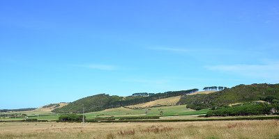 DSC_0857s.jpg