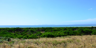 DSC_0942s.jpg