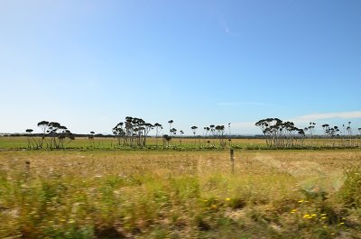 DSC_0947s.jpg