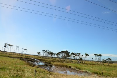 DSC_0949s.jpg