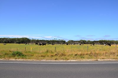 DSC_0952s.jpg