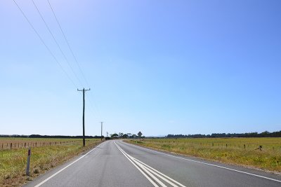 DSC_0954s.jpg