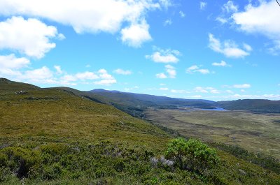 DSC_0974s.jpg