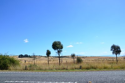 DSC_1241s.jpg
