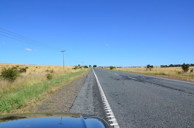 DSC_1245s.jpg