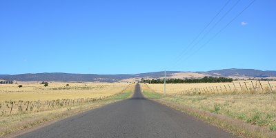 DSC_1248s.jpg