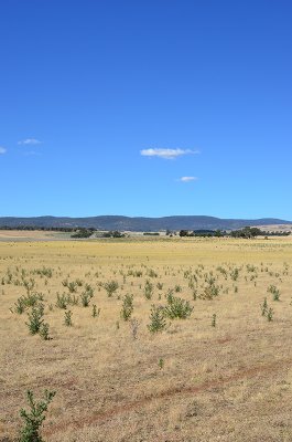 DSC_1253s.jpg