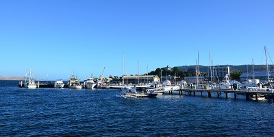 DSC_1262s.jpg