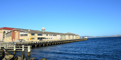 DSC_1264s.jpg