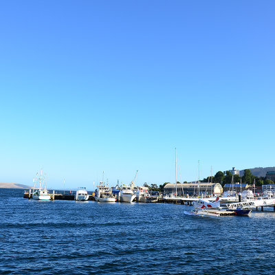 DSC_1267s.jpg