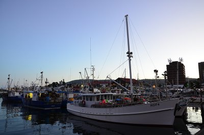 DSC_1300s.jpg