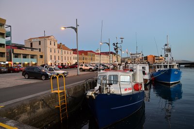 DSC_1302s.jpg