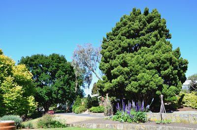 DSC_1405s.jpg
