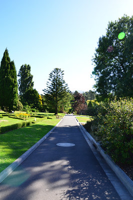 DSC_1453s.jpg