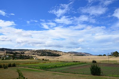 DSC_1816s.jpg