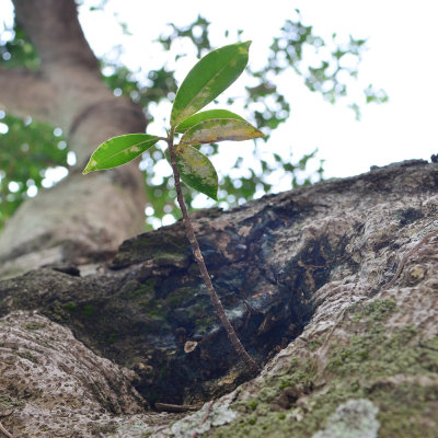 DSC_2628.JPG