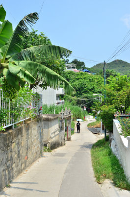 DSC_2651.JPG
