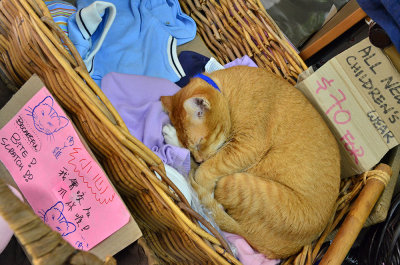 DSC_2657.JPG