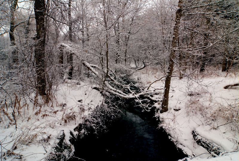 Winter 2007 - 2008