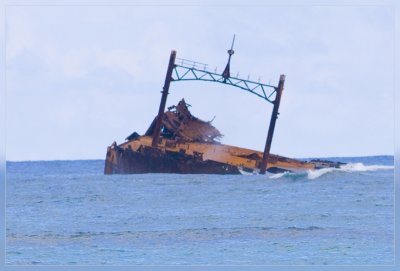 DSC_4335.jpg