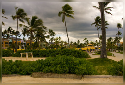 DSC_4147.jpg